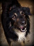KAZAR