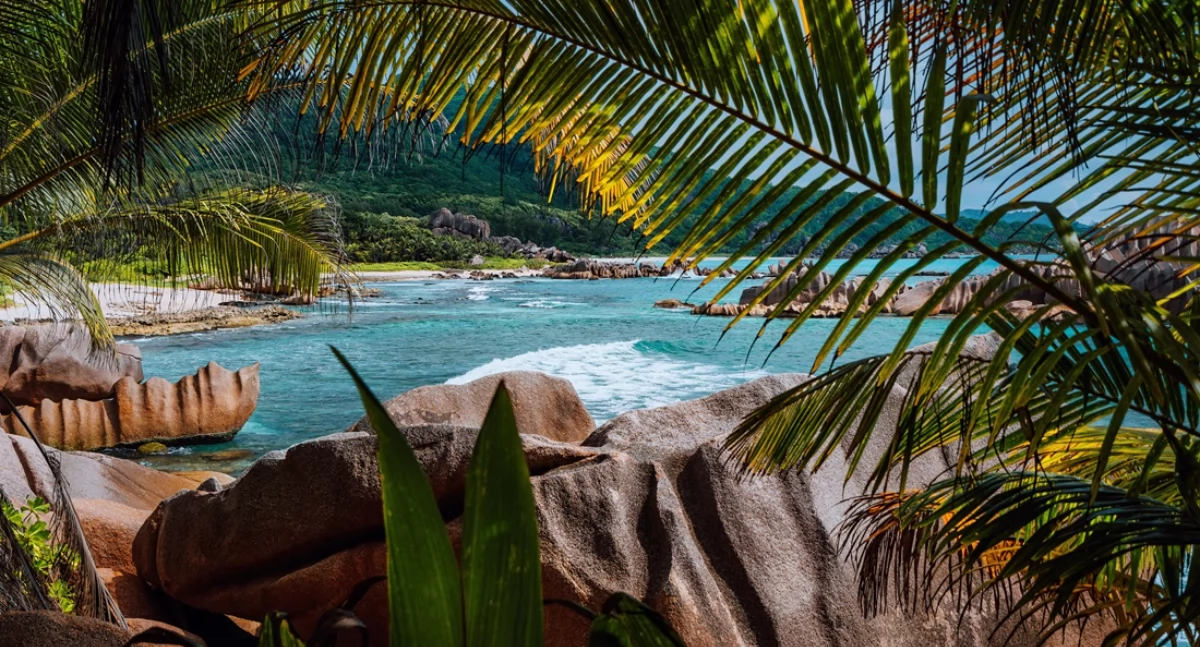 Ludzie, Wakacje wyspy wymarzony kierunek wypoczynek palmami - zdjęcie, fotografia