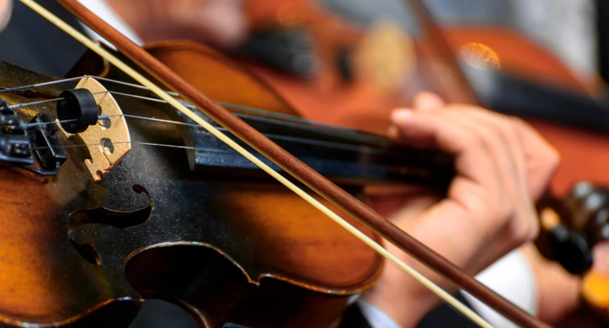 Wydarzenia, Noworoczne Melodie Koncert Orkiestry Kameralnej Filharmonii Narodowej - zdjęcie, fotografia