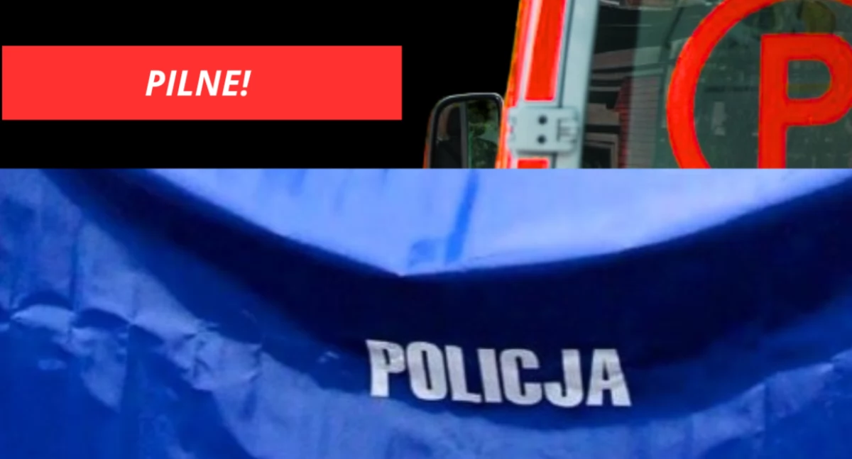 Akcja policji, Dramat działkach Bielanach Tragiczne odkrycie - zdjęcie, fotografia