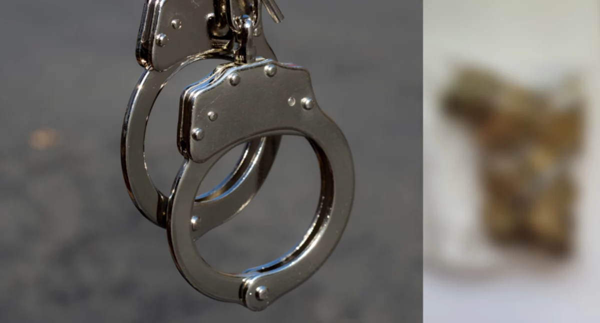 Akcja policji, Policjanci rewizja Bielanach - zdjęcie, fotografia