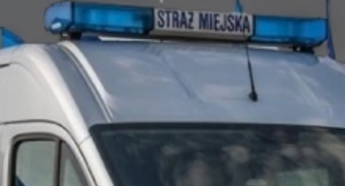 Akcja policji, Interwencja Bielanach Strażnicy zareagowali sprawie nastolatka - zdjęcie, fotografia