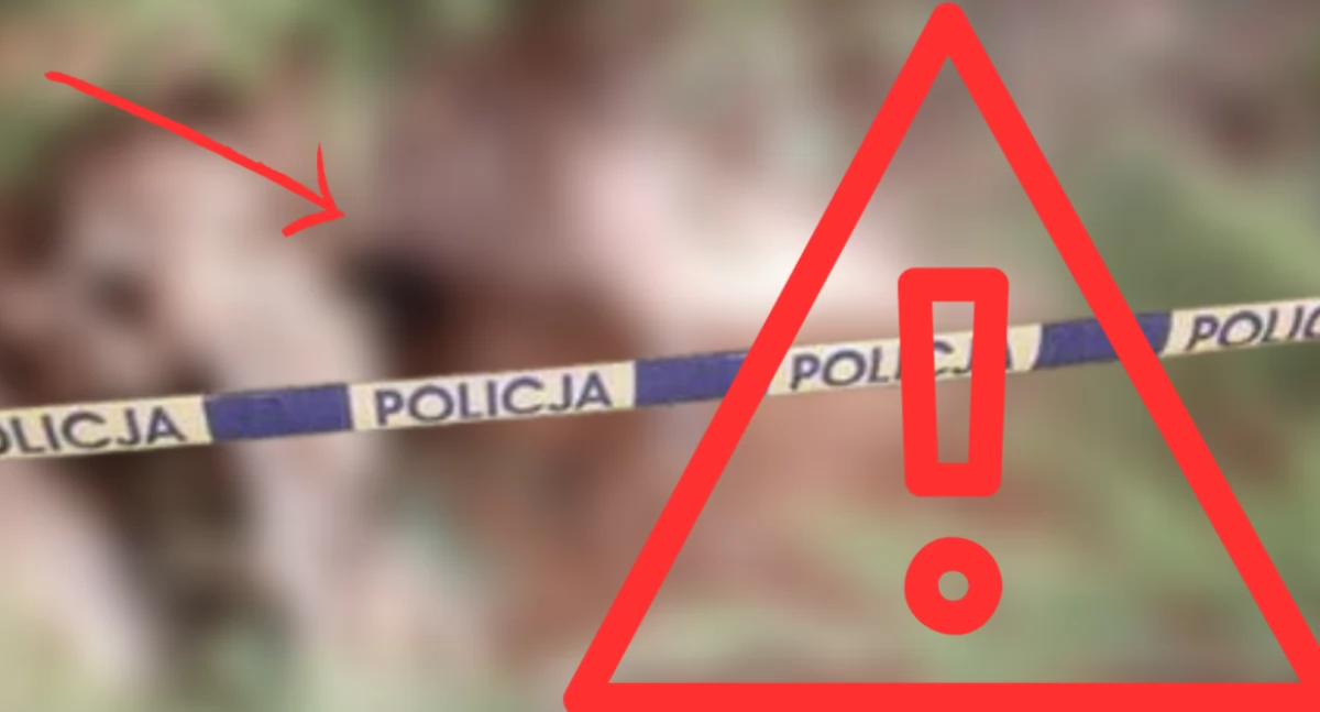 Akcja policji, Tajemnicze znalezisko Bielanach groźne - zdjęcie, fotografia