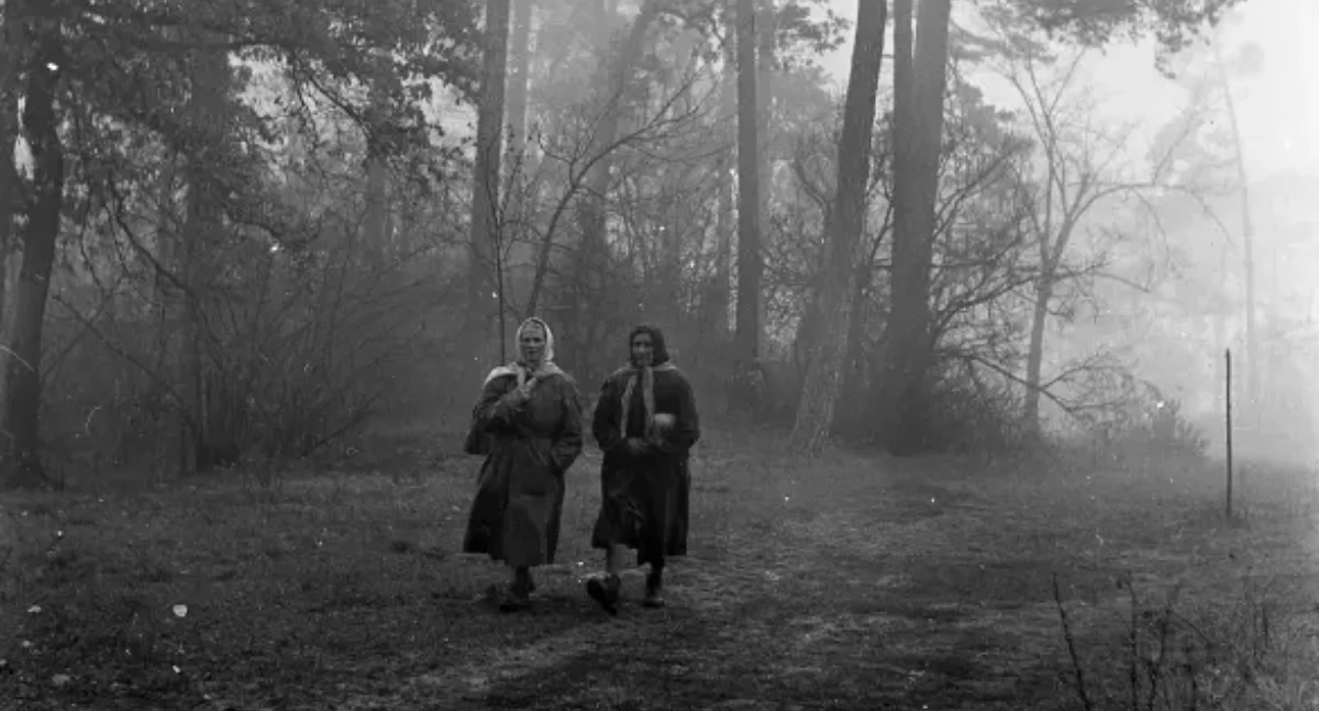 Wydarzenia, Myślicie znacie Sprawdźcie Bielański skrywa jeszcze jakieś sekrety - zdjęcie, fotografia
