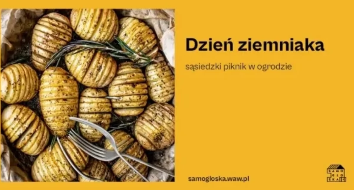 Wydarzenia, DZIEŃ ZIEMNIAKA Bielanach czyli wyjątkowy piknik sąsiedzki - zdjęcie, fotografia