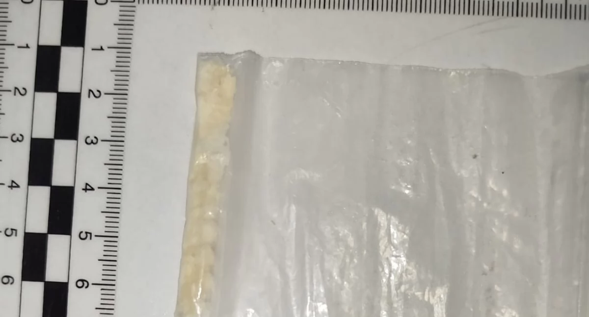 Akcja policji, WYWIADOWCY WPADLI MIESZKANIA Bielanach - zdjęcie, fotografia