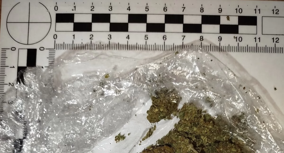 Akcja policji, KAŻDY NERWOWY POZOSTAJE NIEZAUWAŻONY Bielanach - zdjęcie, fotografia