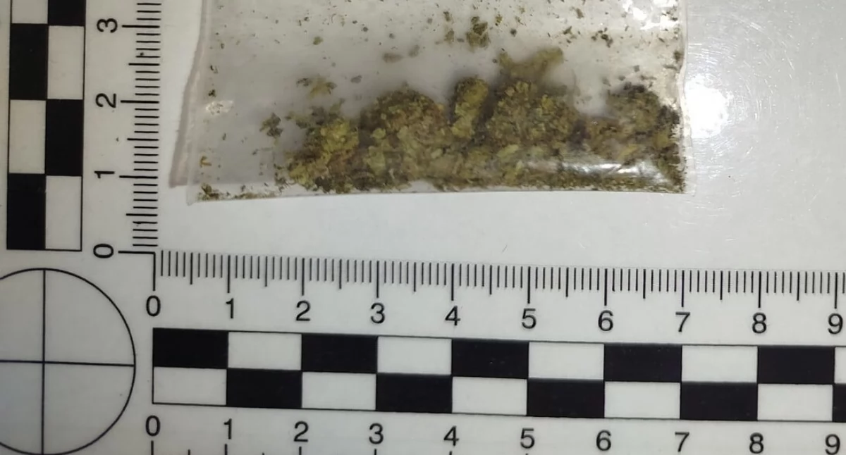 Akcja policji, ZATRZYMANIE BIAŁY DZIEŃ sytuacja Bielanach - zdjęcie, fotografia