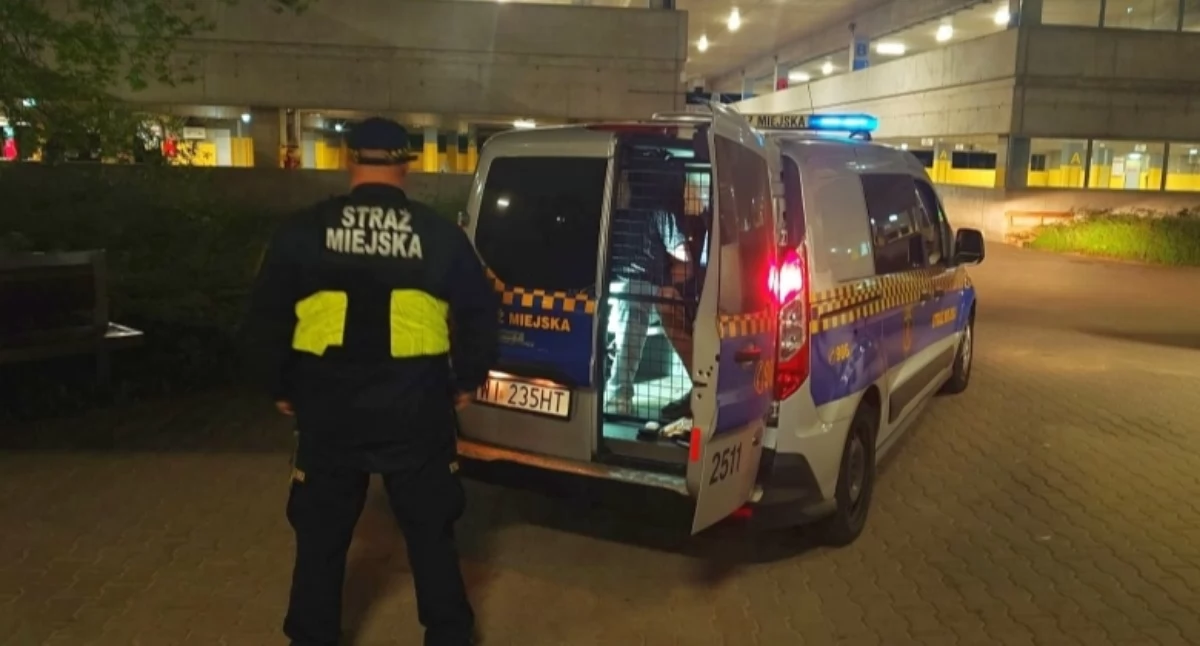 Akcja policji, CHCIELI UATRAKCYJNIĆ SOBIE NIEDZIELNY WIECZÓR Akcja Bielanach - zdjęcie, fotografia