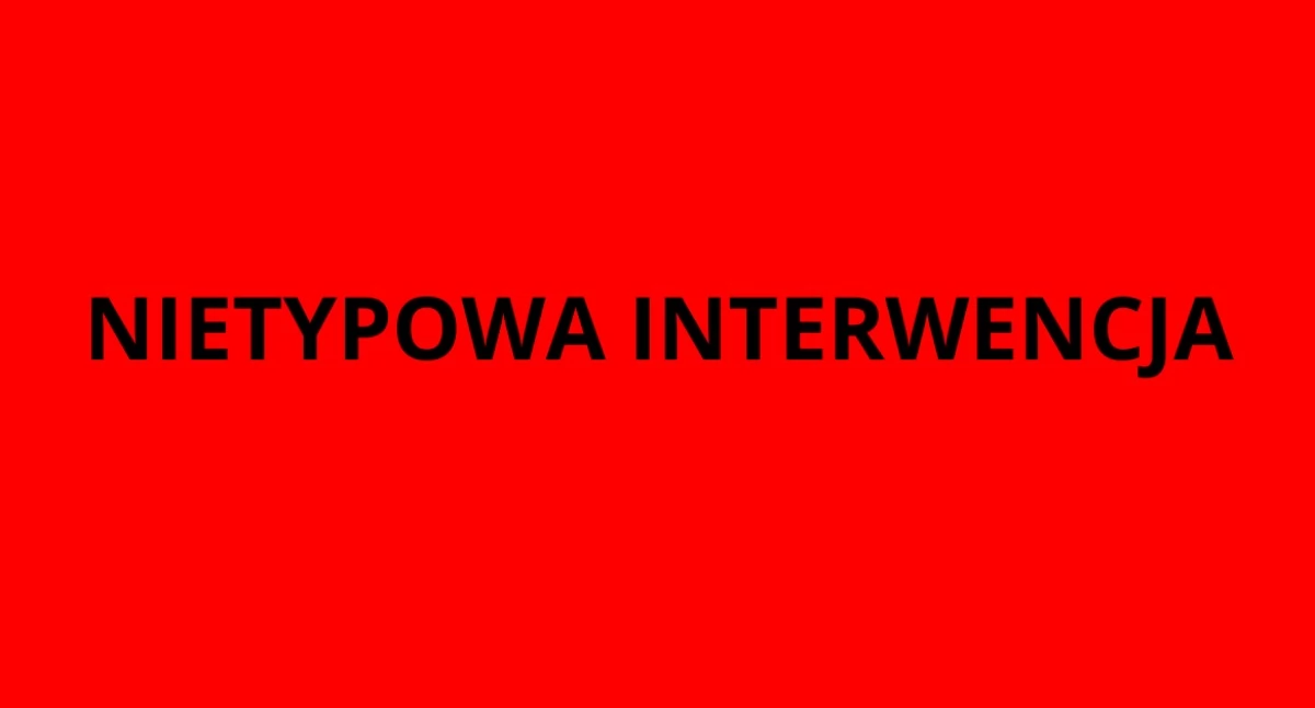 Akcja policji, SZCZUŁA klientów galerii Bielanach - zdjęcie, fotografia