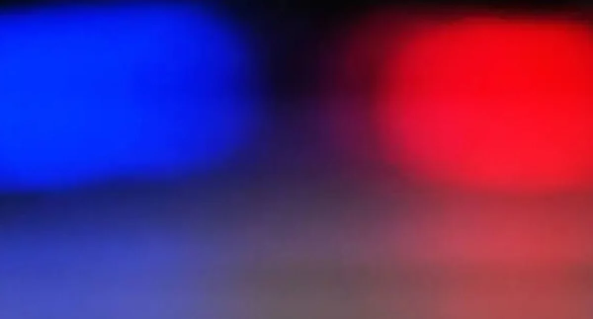 Akcja policji, złodziejaszki Kolejna kradzież Bielanach! - zdjęcie, fotografia