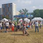 zdjęcie nr 9