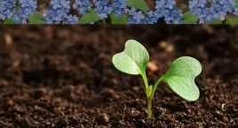 Masz wpływ na swoje sąsiedztwo. Piknik na Żoliborzu