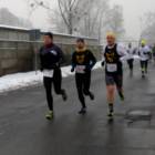 zdjęcie nr 243