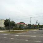 zdjęcie nr 10