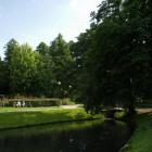 zdjęcie nr 8