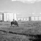 zdjęcie nr 10