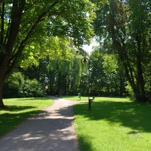 Zdjęcie: Bielany DZIELNICA iBielany