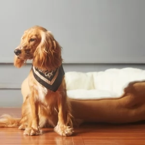 Zdjęcie: Zwierzęta Bielany SPOŁECZEŃSTWO iBielany