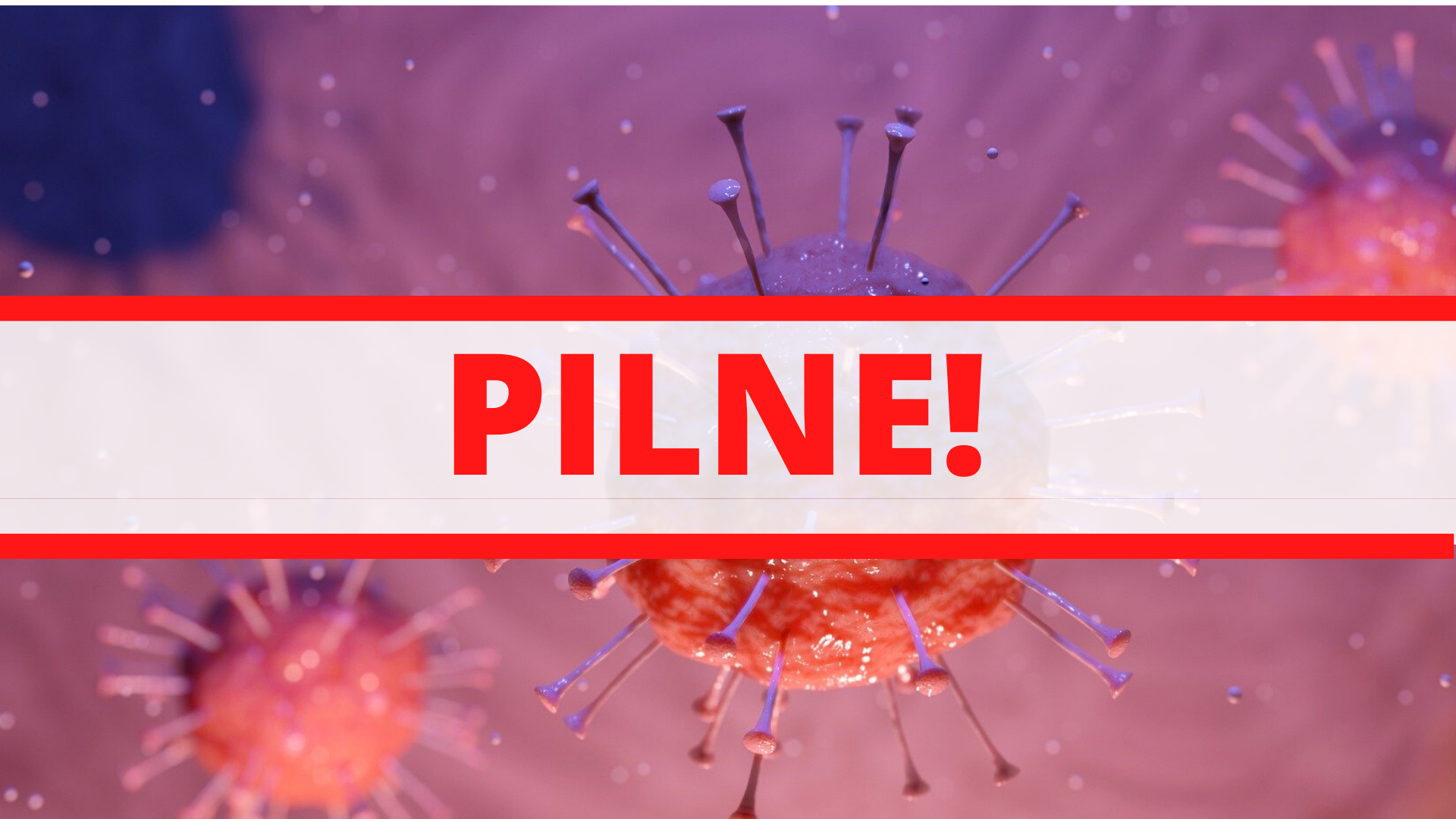 Zdjęcie: Bielany wiadomości Dzielnica Warszawy Bielany iBielany