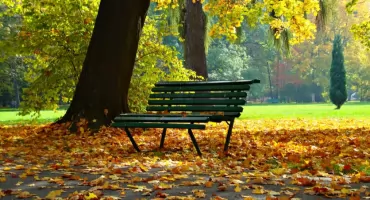 Wiemy, jaki będzie nowy park linearny!