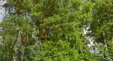 Co powiecie na wycieczkę rowerową? Kampinoski Park Narodowy zaprasza