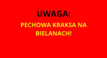 PECHOWA KRAKSA na Bielanach. Kilka aut zniszczonych