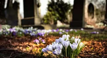 Pielęgnacja nagrobków na wiosnę – o czym pamiętać?