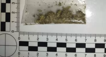 ZATRZYMANIE W BIAŁY DZIEŃ. Taka sytuacja na Bielanach