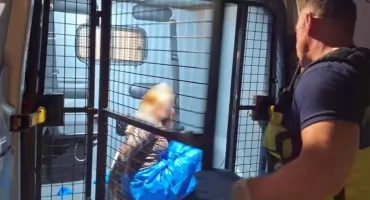 ATAK NA SORZE na Bielanach. PACJENTKA RZUCIŁA SIĘ NA PIELĘGNIARKĘ!