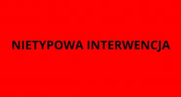 SZCZUŁA PSEM klientów galerii na Bielanach