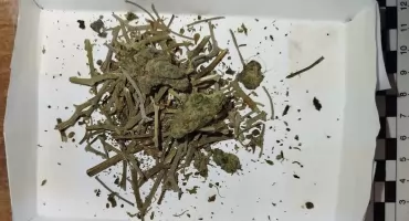 Wywiadowcy na Bielanach w akcji. Kolejne mieszkanie przeszukane!